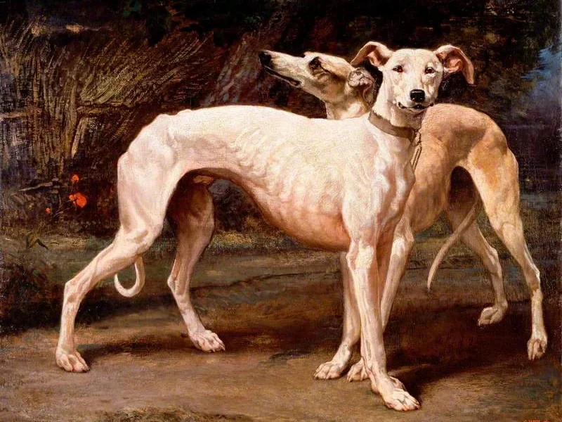 1805-Godefroy Jadin - Due levrieri - Victoria and Albert Museum